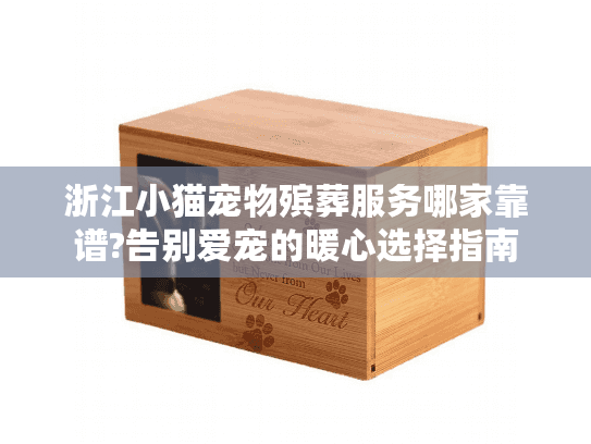 浙江小猫宠物殡葬服务哪家靠谱?告别爱宠的暖心选择指南
