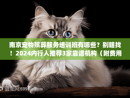 南京宠物殡葬服务培训班有哪些?别瞎找!2024内行人推荐3家靠谱机构(附费用+避坑) 南京宠物殡葬服务培训班有哪些?别瞎找!2024内行人推荐3家靠谱机构(附费用+避坑)