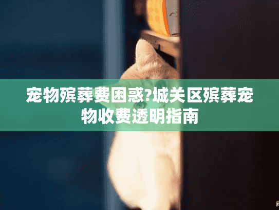 宠物殡葬费困惑?城关区殡葬宠物收费透明指南