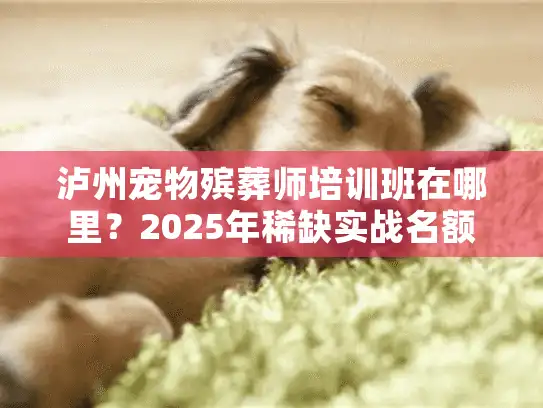 泸州宠物殡葬师培训班在哪里?2025年稀缺实战名额仅剩10席,内附机构资质核查全攻略 泸州宠物殡葬师培训班在哪里?2025年稀缺实战名额仅剩10席,内附机构资质核查全攻略