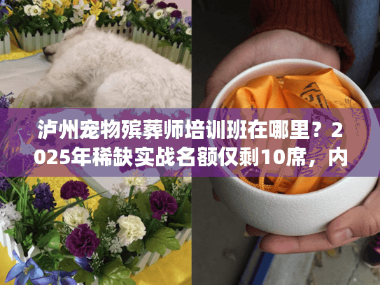 泸州宠物殡葬师培训班在哪里?2025年稀缺实战名额仅剩10席,内附机构资质核查全攻略 泸州宠物殡葬师培训班在哪里?2025年稀缺实战名额仅剩10席,内附机构资质核查全攻略