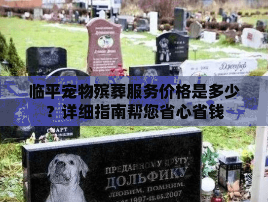 临平宠物殡葬服务价格是多少？详细指南帮您省心省钱