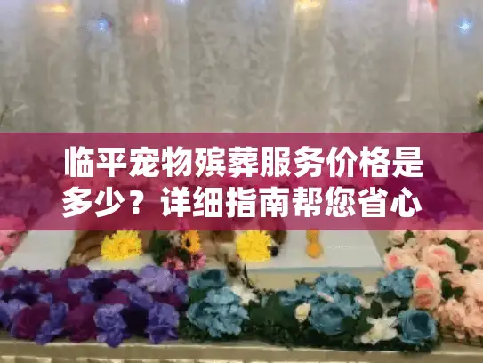 临平宠物殡葬服务价格是多少？详细指南帮您省心省钱