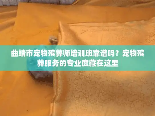 曲靖市宠物殡葬师培训班靠谱吗？宠物殡葬服务的专业度藏在这里
