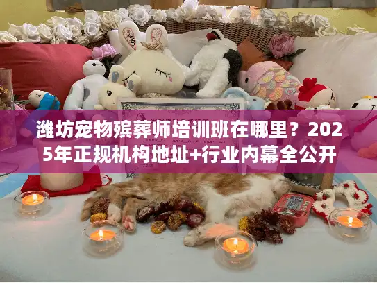 潍坊宠物殡葬师培训班在哪里？2025年正规机构地址+行业内幕全公开