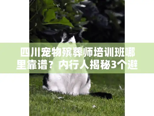 四川宠物殡葬师培训班哪里靠谱？内行人揭秘3个避坑技巧+真实学员案例