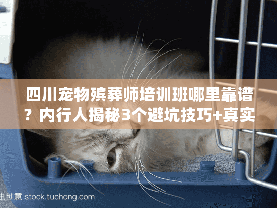 四川宠物殡葬师培训班哪里靠谱？内行人揭秘3个避坑技巧+真实学员案例