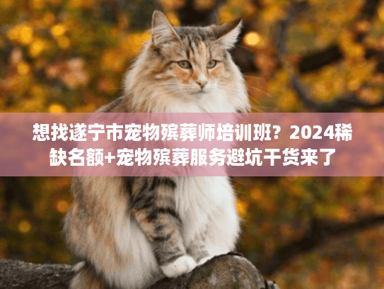 想找遂宁市宠物殡葬师培训班?2024稀缺名额+宠物殡葬服务避坑干货来了 想找遂宁市宠物殡葬师培训班?2024稀缺名额+宠物殡葬服务避坑干货来了