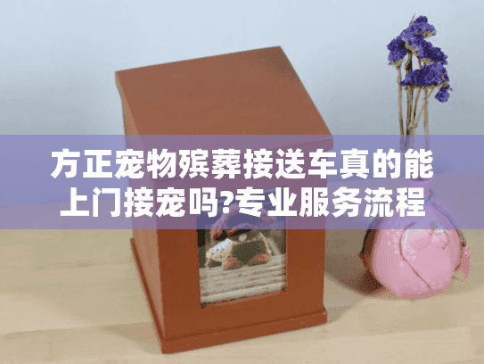 方正宠物殡葬接送车真的能上门接宠吗?专业服务流程全揭秘