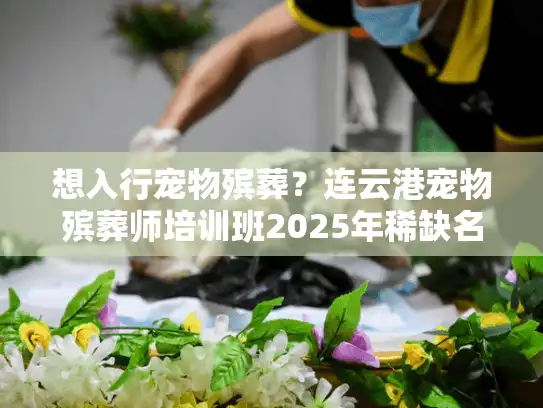 想入行宠物殡葬？连云港宠物殡葬师培训班2025年稀缺名额仅剩10席！