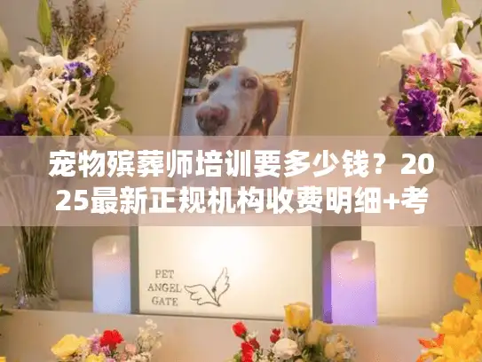 宠物殡葬师培训要多少钱?2025最新正规机构收费明细+考证成本全曝光 宠物殡葬师培训要多少钱?2025最新正规机构收费明细+考证成本全曝光