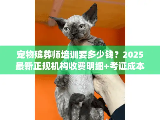 宠物殡葬师培训要多少钱?2025最新正规机构收费明细+考证成本全曝光 宠物殡葬师培训要多少钱?2025最新正规机构收费明细+考证成本全曝光