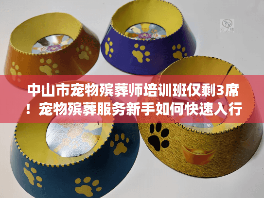 中山市宠物殡葬师培训班仅剩3席!宠物殡葬服务新手如何快速入行? 中山市宠物殡葬师培训班仅剩3席!宠物殡葬服务新手如何快速入行?