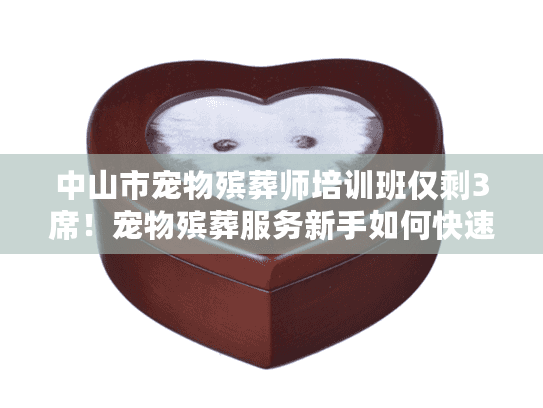 中山市宠物殡葬师培训班仅剩3席!宠物殡葬服务新手如何快速入行? 中山市宠物殡葬师培训班仅剩3席!宠物殡葬服务新手如何快速入行?