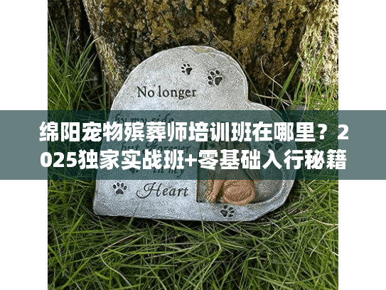 绵阳宠物殡葬师培训班在哪里?2025独家实战班+零基础入行秘籍 绵阳宠物殡葬师培训班在哪里?2025独家实战班+零基础入行秘籍