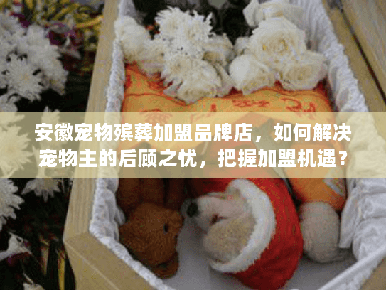 安徽宠物殡葬加盟品牌店，如何解决宠物主的后顾之忧，把握加盟机遇？