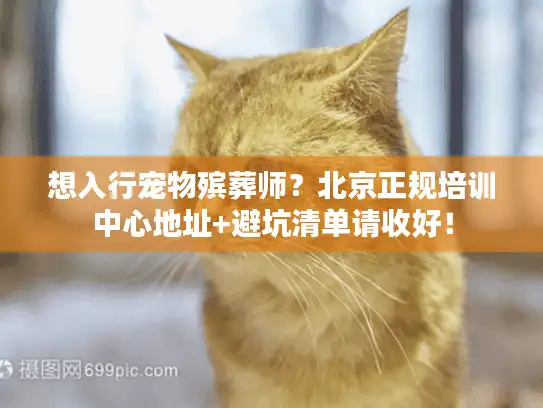 想入行宠物殡葬师？北京正规培训中心地址+避坑清单请收好！