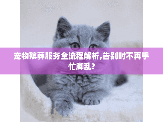 宠物殡葬服务全流程解析,告别时不再手忙脚乱? 宠物殡葬服务全流程解析,告别时不再手忙脚乱?