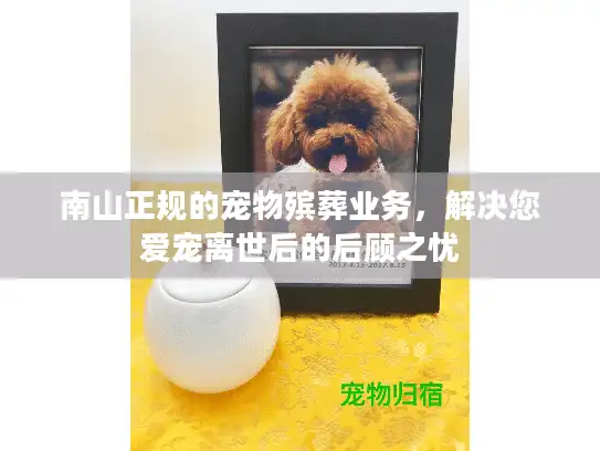 南山正规的宠物殡葬业务，解决您爱宠离世后的后顾之忧