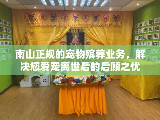 南山正规的宠物殡葬业务，解决您爱宠离世后的后顾之忧