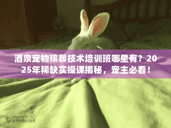 酒泉宠物殡葬技术培训班哪里有？2025年稀缺实操课揭秘，宠主必看！