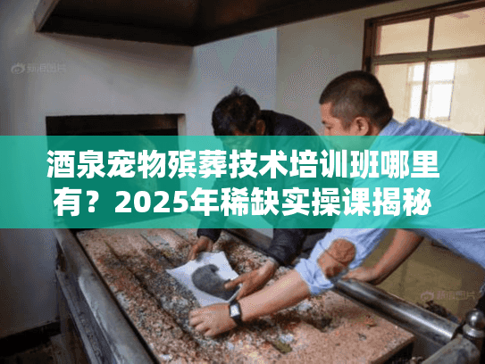 酒泉宠物殡葬技术培训班哪里有？2025年稀缺实操课揭秘，宠主必看！