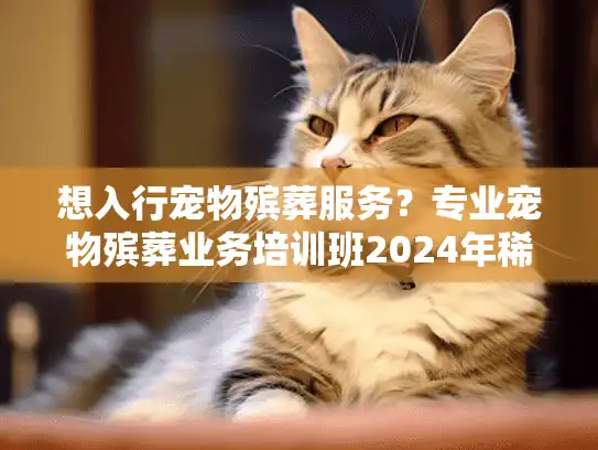 想入行宠物殡葬服务？专业宠物殡葬业务培训班2024年稀缺实战资源来了