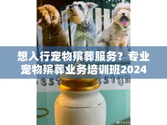 想入行宠物殡葬服务？专业宠物殡葬业务培训班2024年稀缺实战资源来了