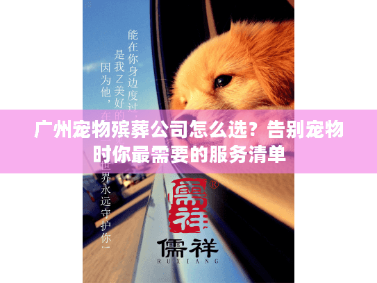 广州宠物殡葬公司怎么选？告别宠物时你最需要的服务清单