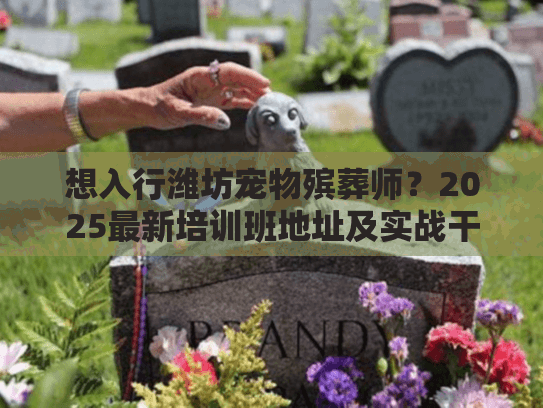 想入行潍坊宠物殡葬师？2025最新培训班地址及实战干货全揭秘