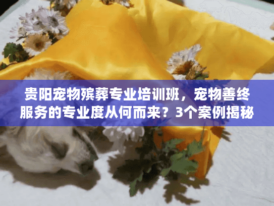 贵阳宠物殡葬专业培训班，宠物善终服务的专业度从何而来？3个案例揭秘