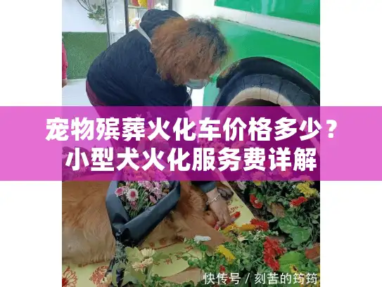 宠物殡葬火化车价格多少？小型犬火化服务费详解