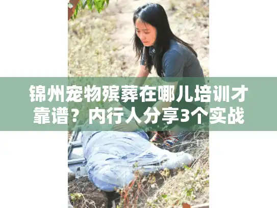 锦州宠物殡葬在哪儿培训才靠谱？内行人分享3个实战入行路径