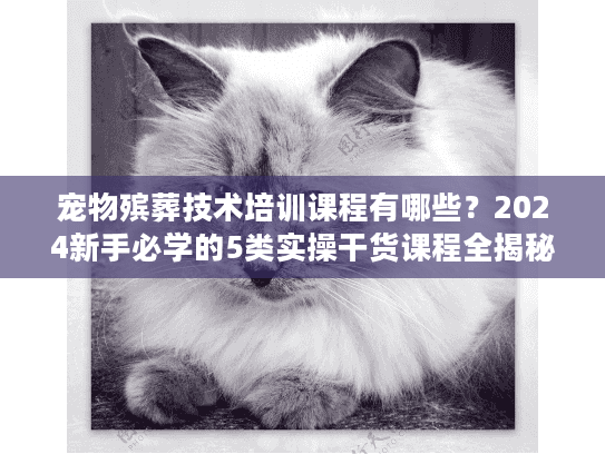 宠物殡葬技术培训课程有哪些?2024新手必学的5类实操干货课程全揭秘 宠物殡葬技术培训课程有哪些?2024新手必学的5类实操干货课程全揭秘