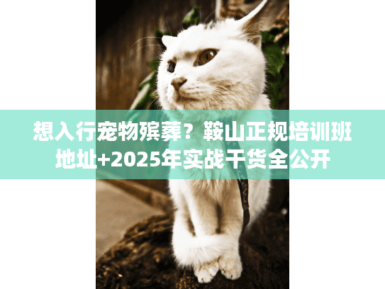 想入行宠物殡葬？鞍山正规培训班地址+2025年实战干货全公开