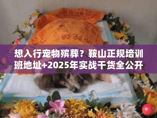 想入行宠物殡葬？鞍山正规培训班地址+2025年实战干货全公开