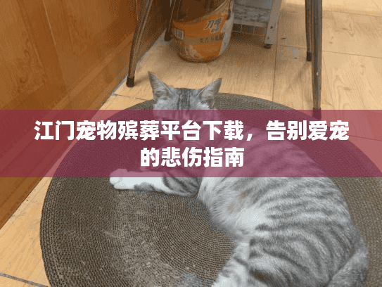 江门宠物殡葬平台下载,告别爱宠的悲伤指南 江门宠物殡葬平台下载,告别爱宠的悲伤指南