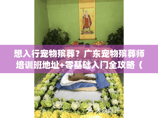 想入行宠物殡葬?广东宠物殡葬师培训班地址+零基础入门全攻略(含真实学员故事) 想入行宠物殡葬?广东宠物殡葬师培训班地址+零基础入门全攻略(含真实学员故事)