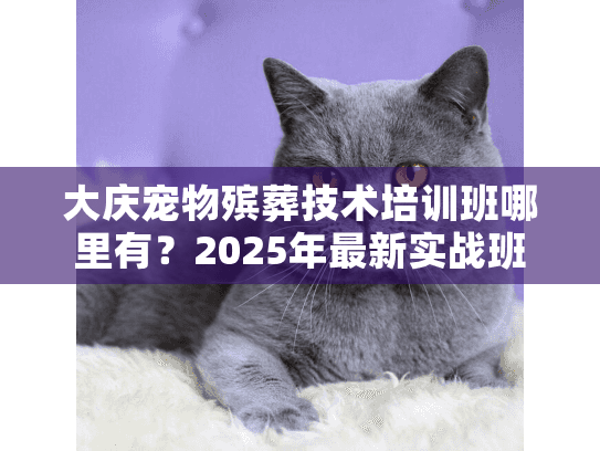 大庆宠物殡葬技术培训班哪里有？2025年最新实战班揭秘，错过等一年！