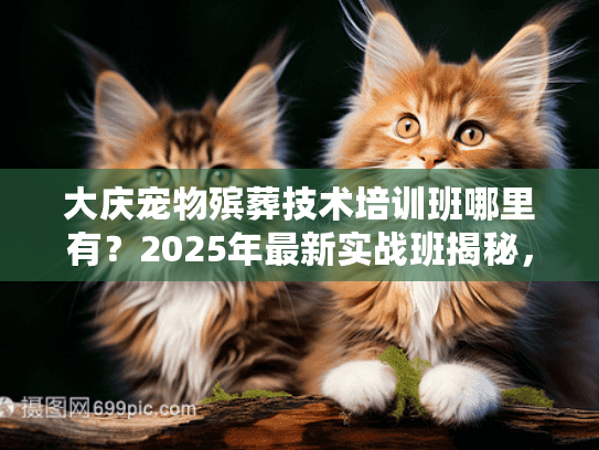 大庆宠物殡葬技术培训班哪里有？2025年最新实战班揭秘，错过等一年！