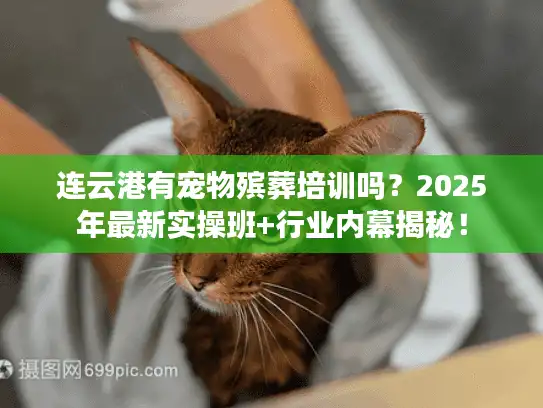 连云港有宠物殡葬培训吗？2025年最新实操班+行业内幕揭秘！