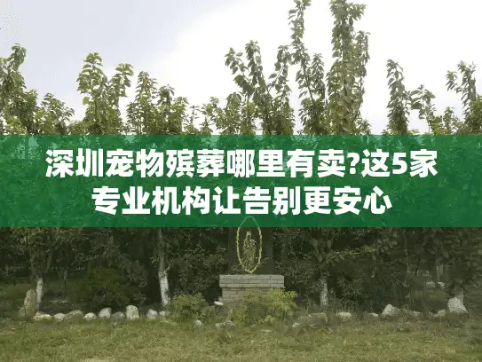 深圳宠物殡葬哪里有卖?这5家专业机构让告别更安心