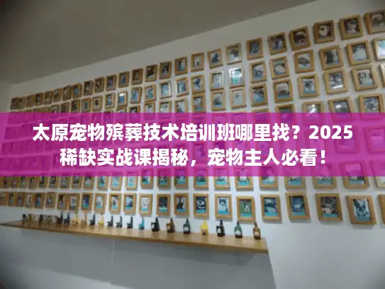 太原宠物殡葬技术培训班哪里找？2025稀缺实战课揭秘，宠物主人必看！