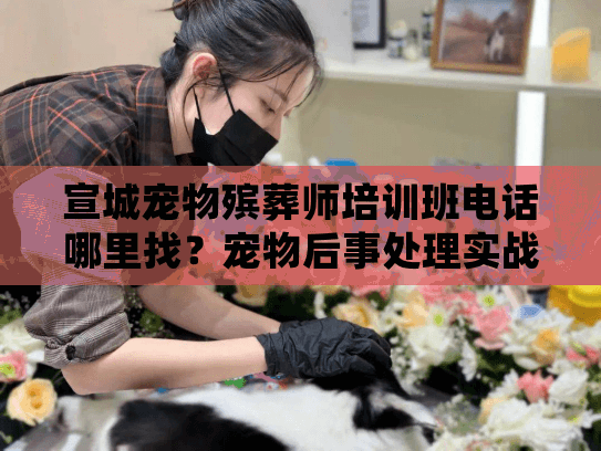 宣城宠物殡葬师培训班电话哪里找？宠物后事处理实战培训干货（含资源）