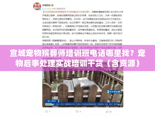 宣城宠物殡葬师培训班电话哪里找？宠物后事处理实战培训干货（含资源）