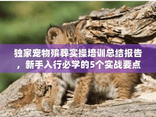 独家宠物殡葬实操培训总结报告，新手入行必学的5个实战要点（真实案例）