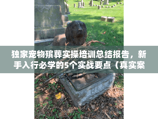 独家宠物殡葬实操培训总结报告，新手入行必学的5个实战要点（真实案例）
