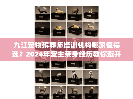 九江宠物殡葬师培训机构哪家值得选？2024年宠主亲身经历教你避开这些坑