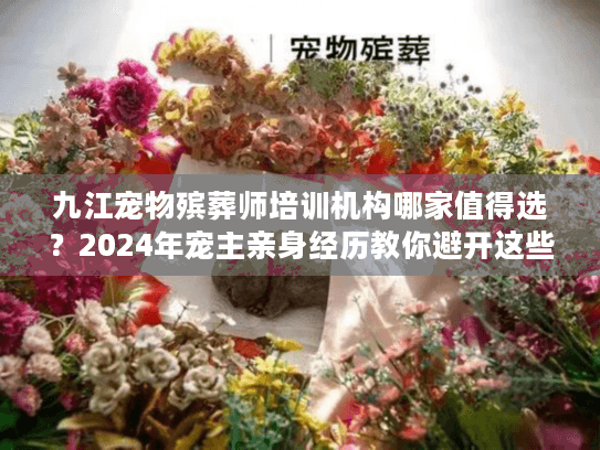 九江宠物殡葬师培训机构哪家值得选？2024年宠主亲身经历教你避开这些坑