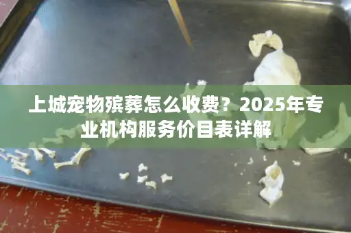 上城宠物殡葬怎么收费?2025年专业机构服务价目表详解 上城宠物殡葬怎么收费?2025年专业机构服务价目表详解